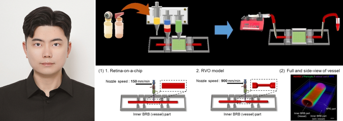생명공학과 김정주 교수 연구팀, 최상위 국제 학술지  Advanced Compsites and Hybrid Materials 에 논문 게재 대표이미지